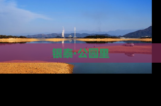 银泰·公园里