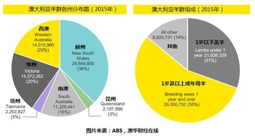 真爱美家拟出租闲置资产三年增收万元