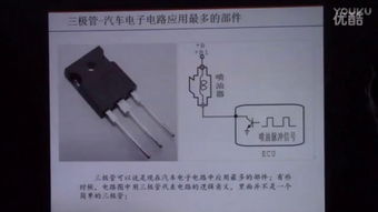 华南职业教育市场震荡早盘急速跳水的背后分析