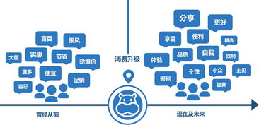 硕贝德：已成功进入重要汽车客户的供应链体系