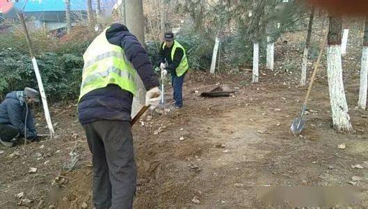 1.高温黄色预警的含义与应对措施