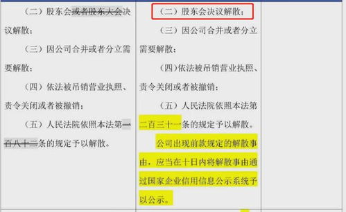 新公司法即将施行，董责险能爆单吗？