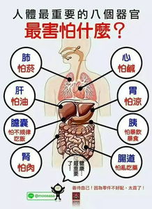 沧港铁路盘中异动股价大涨%报港元