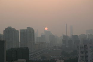 上海又诞生国内单价最贵地王，楼市新标杆与市场新动向