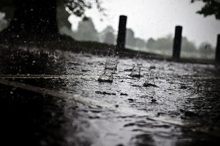 中央气象台继续发布暴雨橙色预警，全国多地面临强降雨挑战